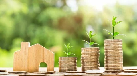 Financial environment