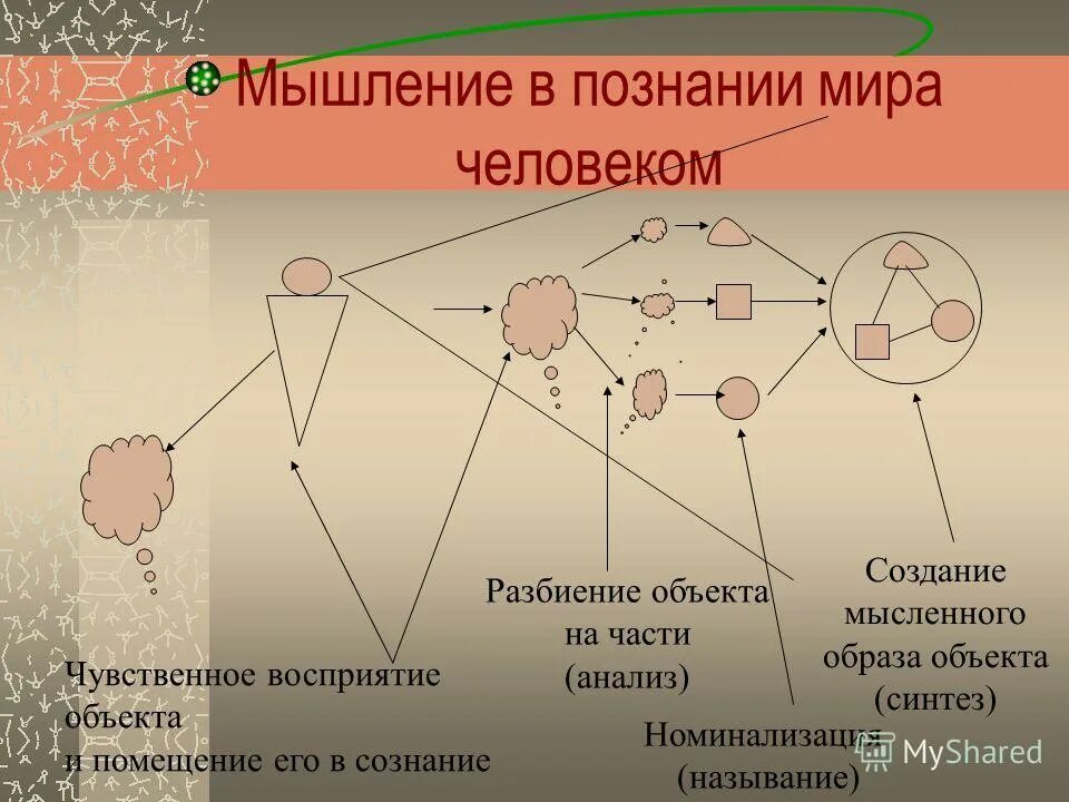 Что первично язык или мышление. Соотношение языка и мышления. Язык и мышление кратко. Язык и мышление. Соотношение языка и мышления.