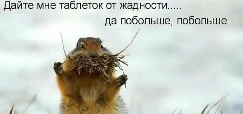 Дай мне побольше. Дайте мне таблеток от жадности. таблетки от жадности и побольше. дайте мне таблеток от жадности и побольше побольше. дайте таблеток от жадности.