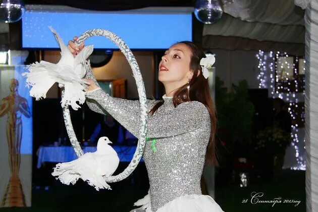 цирковые голуби. цирковые голуби. дрессированные голуби. цирковые голуби. дрессировщица голубей костюм.