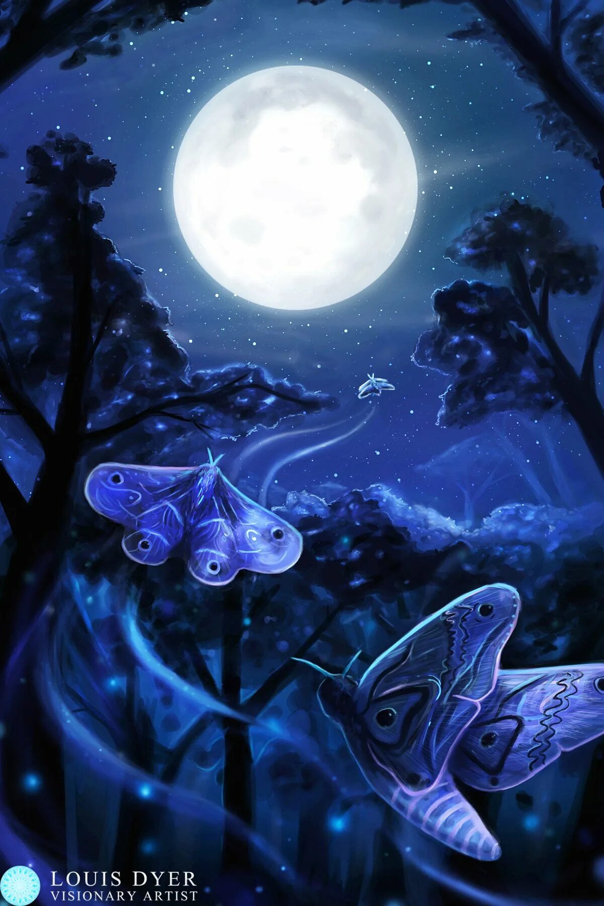 Сказочная ночь. Волшебные бабочки. Бабочка ночью. Сказочный мотылек. Спящие ночью бабочки