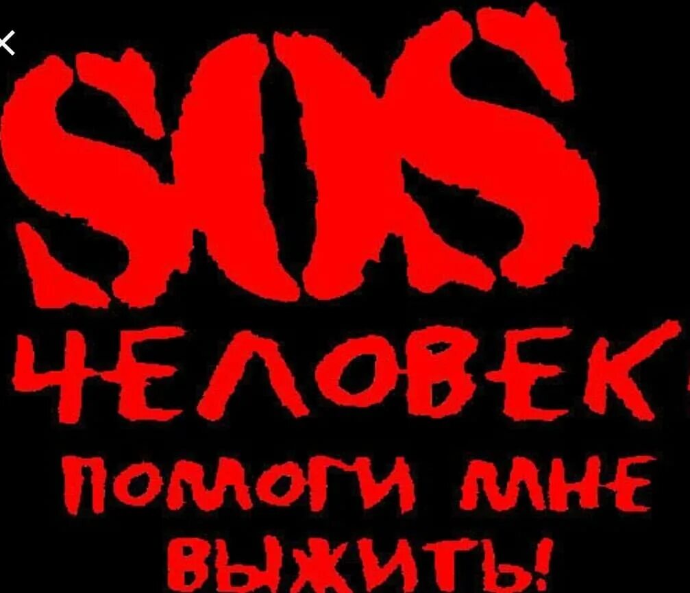 Помогите выжить. Помоги выжить. Человек помоги мне выжить. Помогите мне выжить собака. Слово помогает выжить