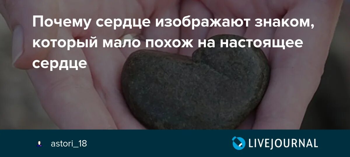 Сердечный именно. Символ сердца почему такой. Почему сердце в форме сердца. Почему сердце изображают в такой форме.