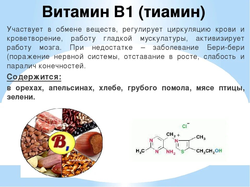 Недостаток б 6. Витамин b1 тиамин. Витамин в12 b6 b1. Витамин b1 тиамин роль в организме. Роль в организме витамина b12 кратко.