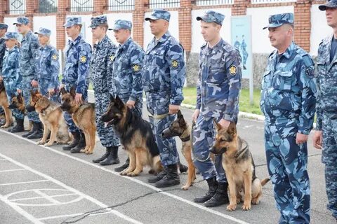 Кинолог красноярск