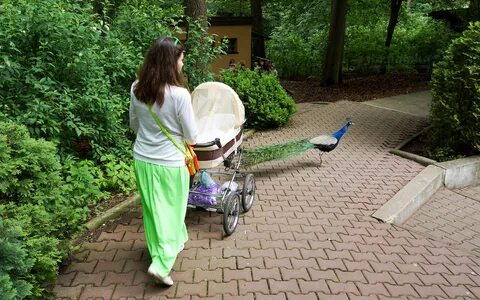 Гулять с новорожденным после роддома