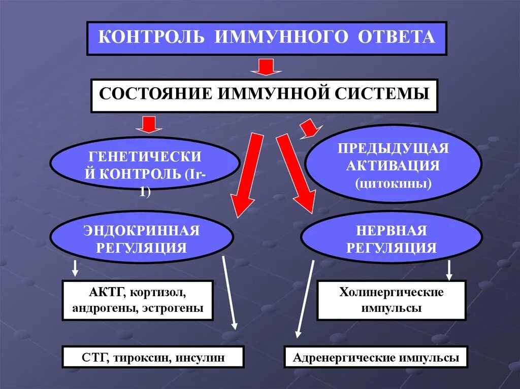 Генетический иммунного ответа. Контроль иммунного ответа. Контроль иммунного ответа иммунология. Контроль и регуляция иммунного ответа. Регуляция иммунного ответа иммунология.