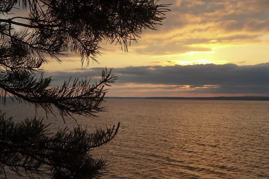 Горе море нижний новгород. Горе море сайт. Горьковское море острова. Горе море нижний новгород. Горьковское море городец.