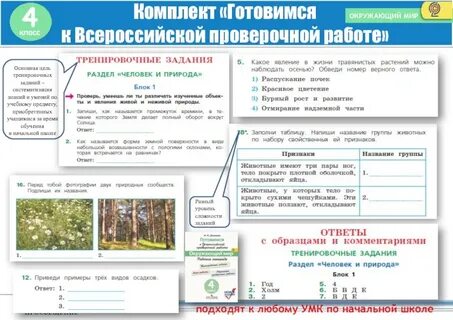 Я остановился на опушке