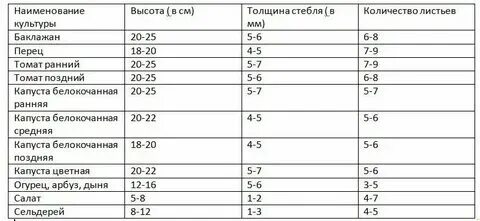 Какая температура почвы в теплице