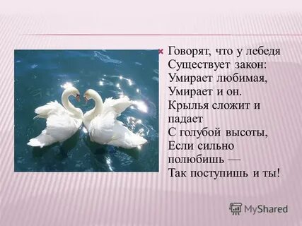 Лебединая песня как пишется