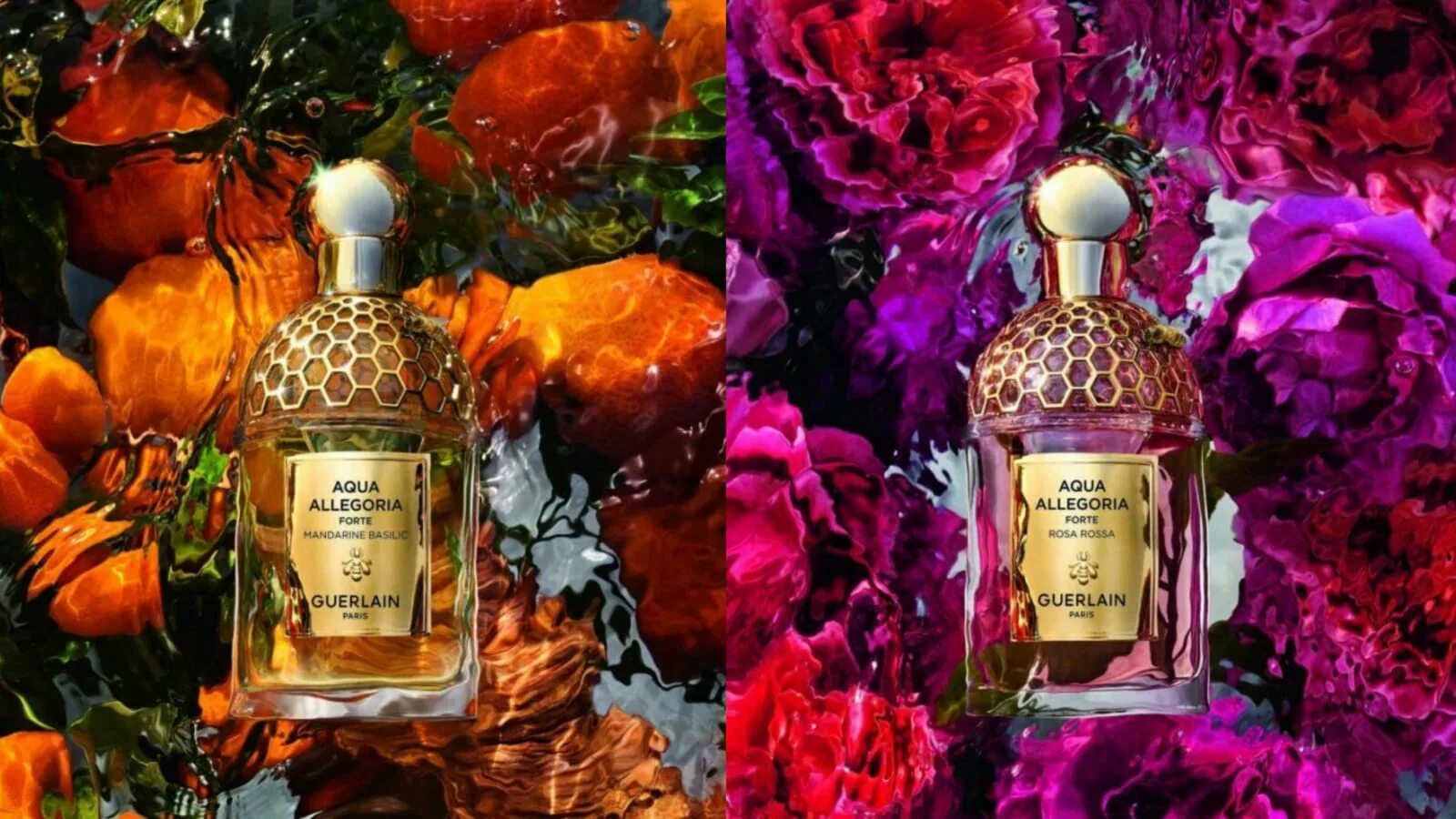 Guerlain aqua allegoria mandarine basilic forte. Guerlain Aqua Allegoria Forte Mandarine basilic. Guerlain Aqua Allegoria Forte. Guerlain Aqua Allegoria Mandarine basilic 25 ml.