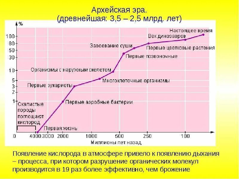 Появление кислорода эра. Возникновение кислородного этапа дыхания Эра. Возникновения кислорода в атмосфере. Архейская Эра дыхание.