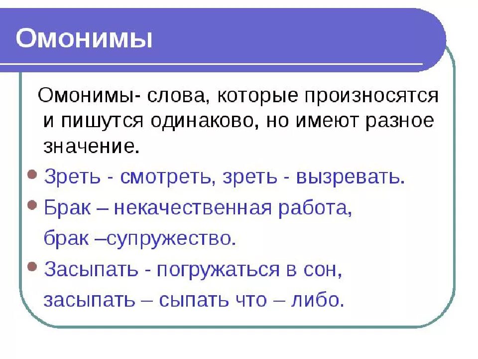 Что такое омонимы примеры