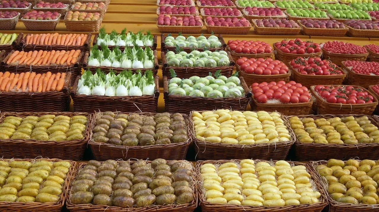 Хранение транспортировка и реализация сельскохозяйственной продукции