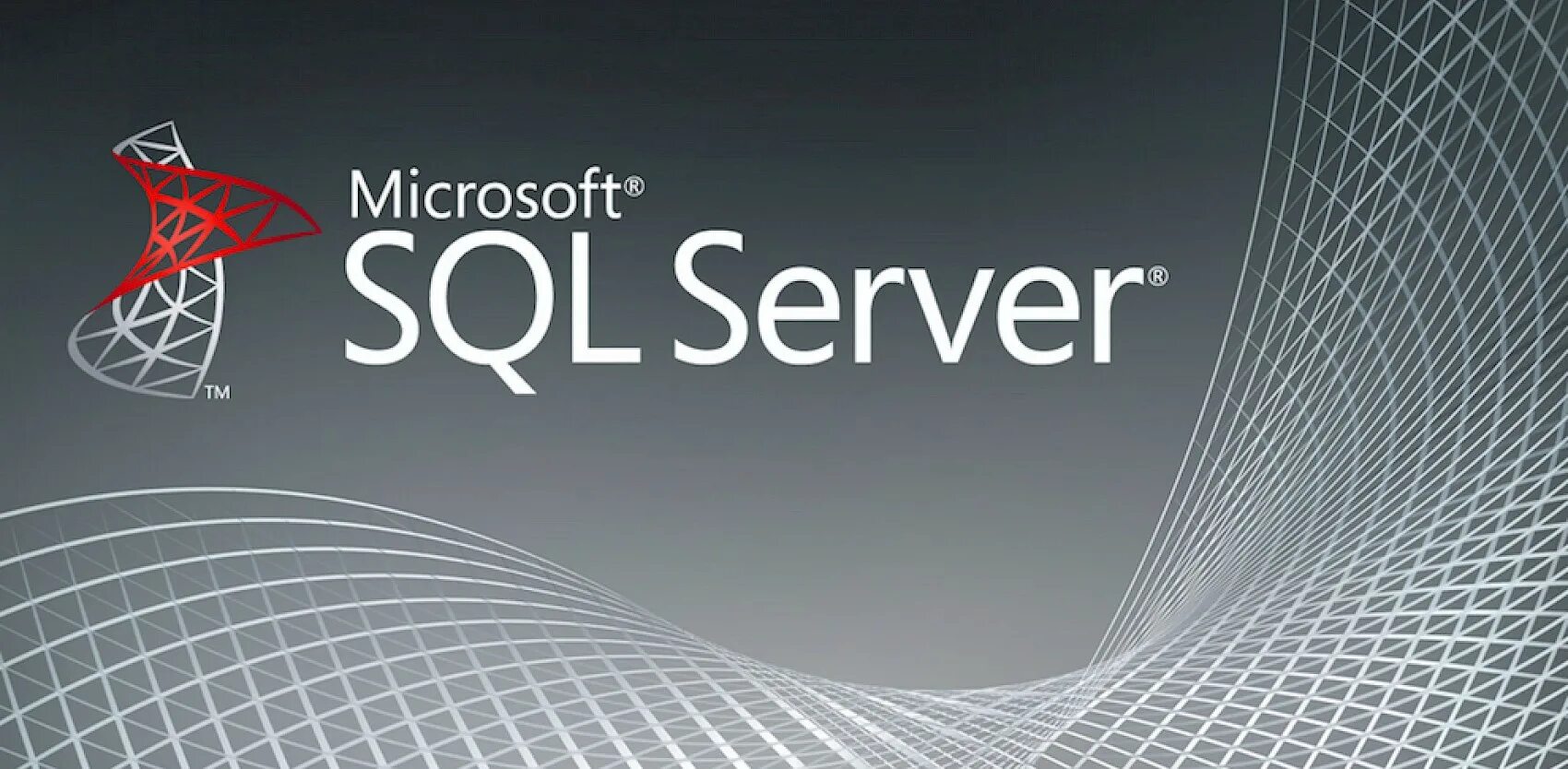 Sql server builds. Ms sql server логотип. ms sql server 2019 иконка. ms sql server management studio логотип. microsoft sql сервер.