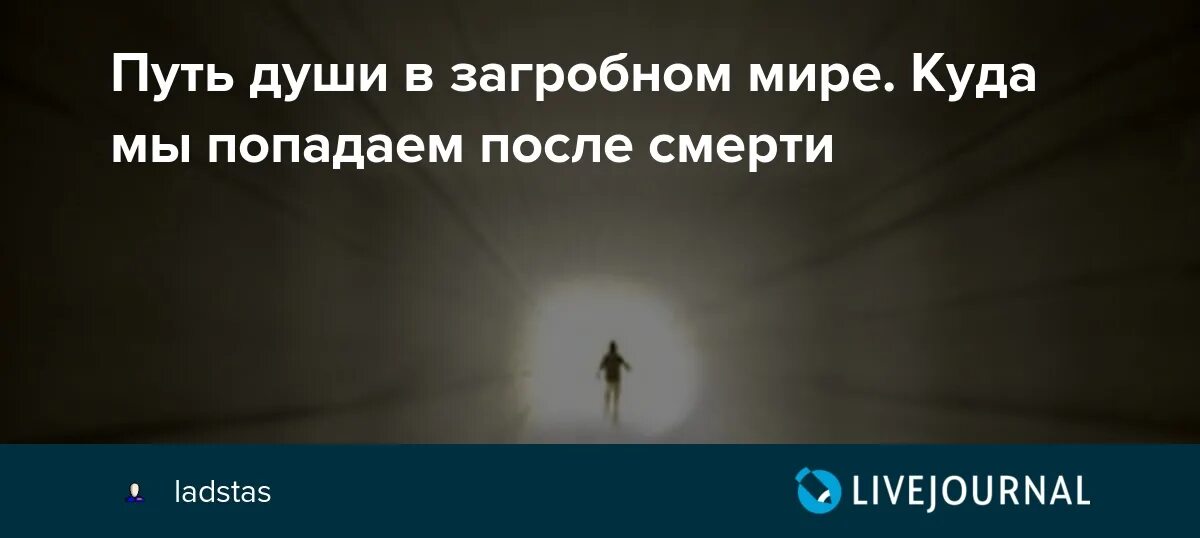 Встречаются ли родственники на том свете. Душа в загробном мире. Куда попадает человек после смерти. Куда попадает душа после смерти человека. Путь души.