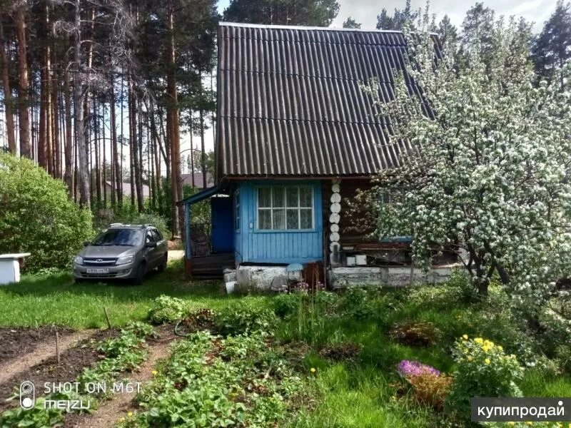 Сады сысерть. Сад в сысерти сад. дача солнышко сысерть. зеленый дом 38 сысерть.