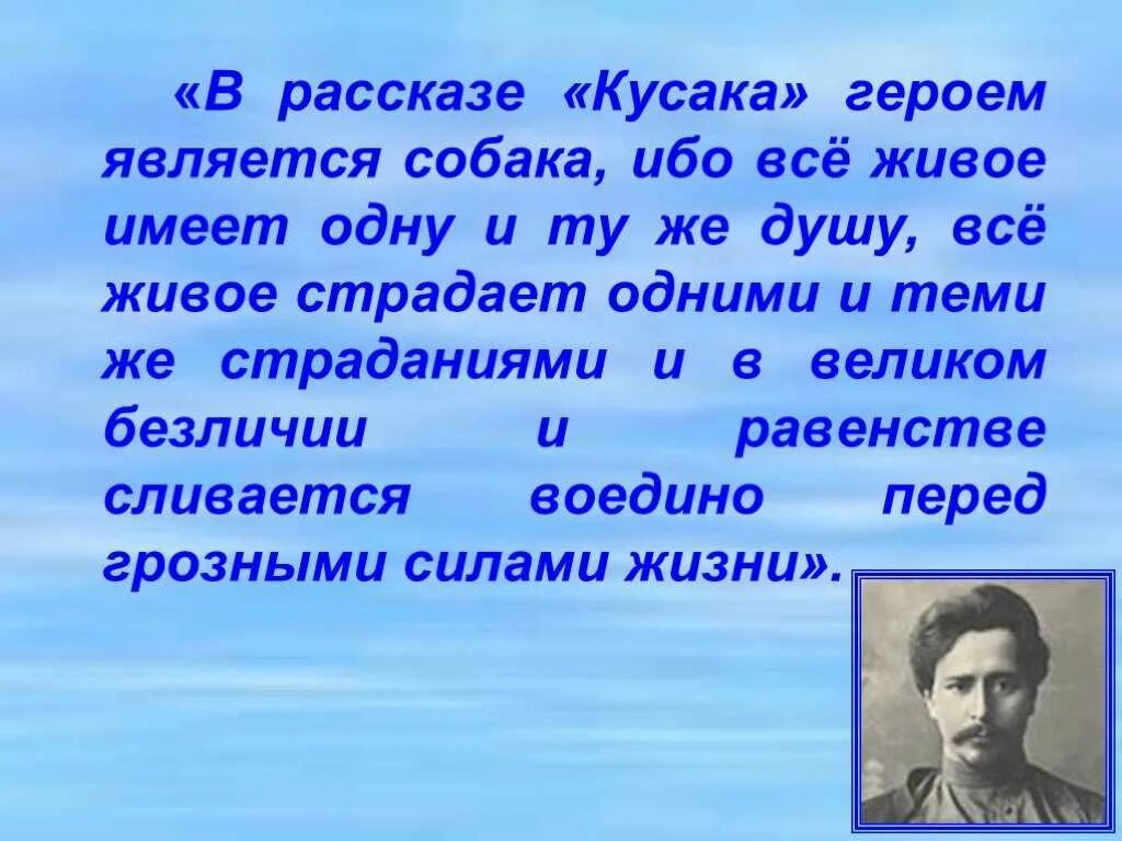 Кусака о чем произведение. Кусака 1 глава. Вывод в произведении кусака. Презентация кусака. Кусака о чем произведение.