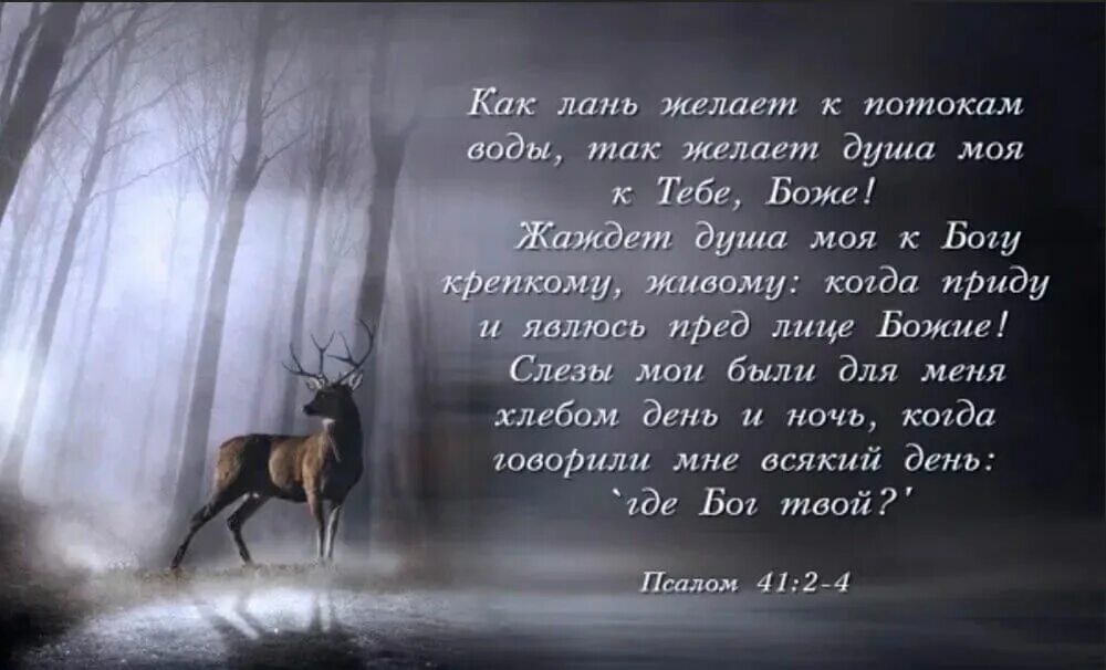 Моя душа жаждет Бога. Как Лань желает. Как Лань желает к потокам воды так желает душа моя к тебе Боже.