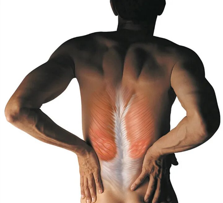 Боль в спине и в теле. Болят мышцы поясницы. Спазм мышц спины. Спазмированная мышца в спине.