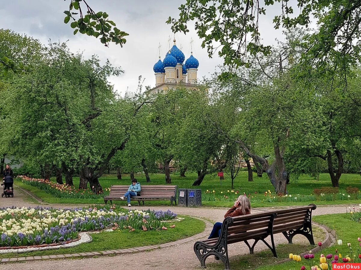 Сегодня в коломенском парке