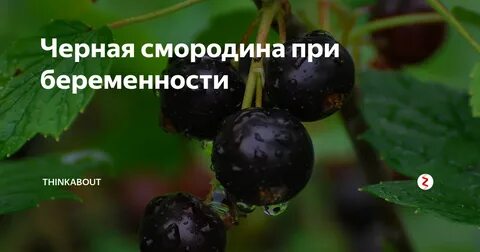 Можно смородину при грудном вскармливании