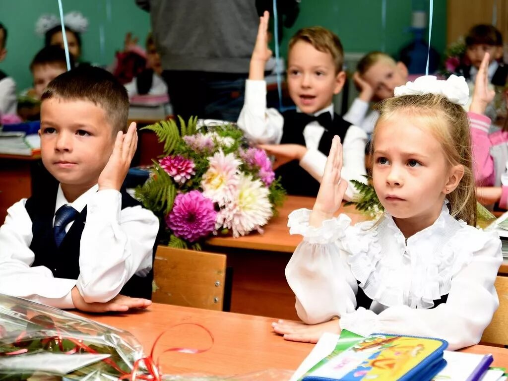 Первый класс. Дети в школе за партой. Первоклассник. Школа первый класс. В 1 класс поступает 45 человек