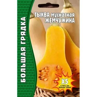 Мускатный сорт тыквы жемчужина