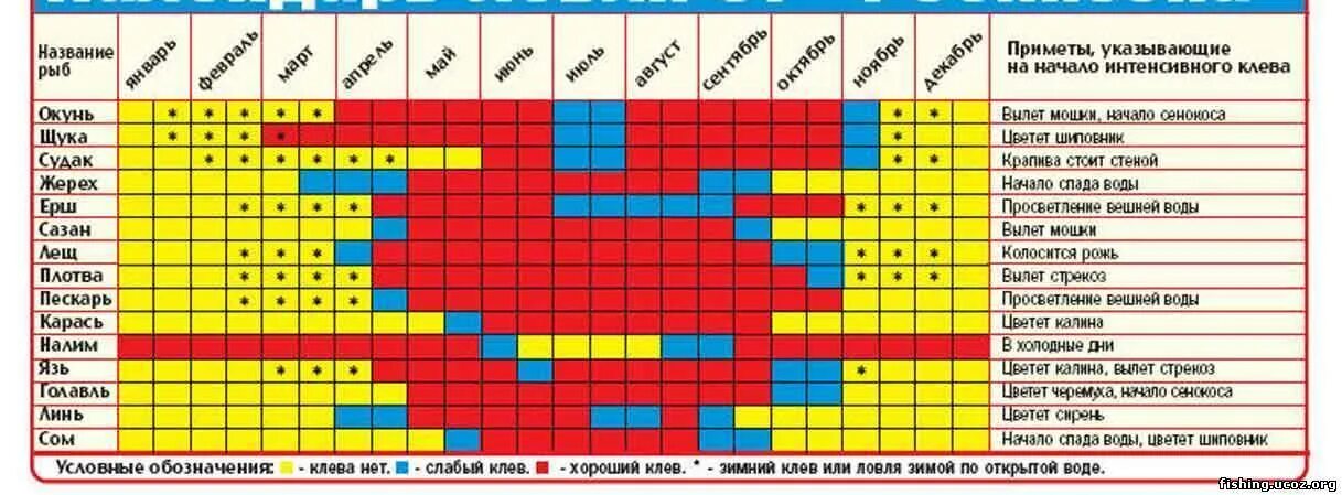 Время года ловли