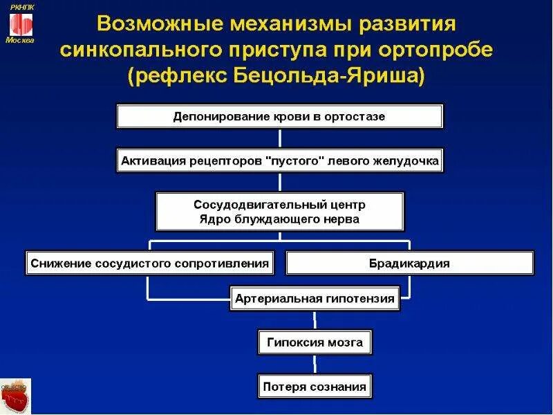 Рефлекс Бецольда Яриша. Патогенез синкопальных состояний. Рефлекс Бецольда-Яриша при инфаркте. Эфферентное влияние рефлекса Бецольда-Яриша:.