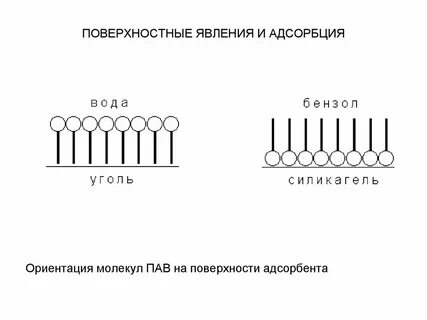 Пав ч ч