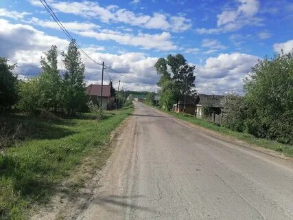 Участки камышлов