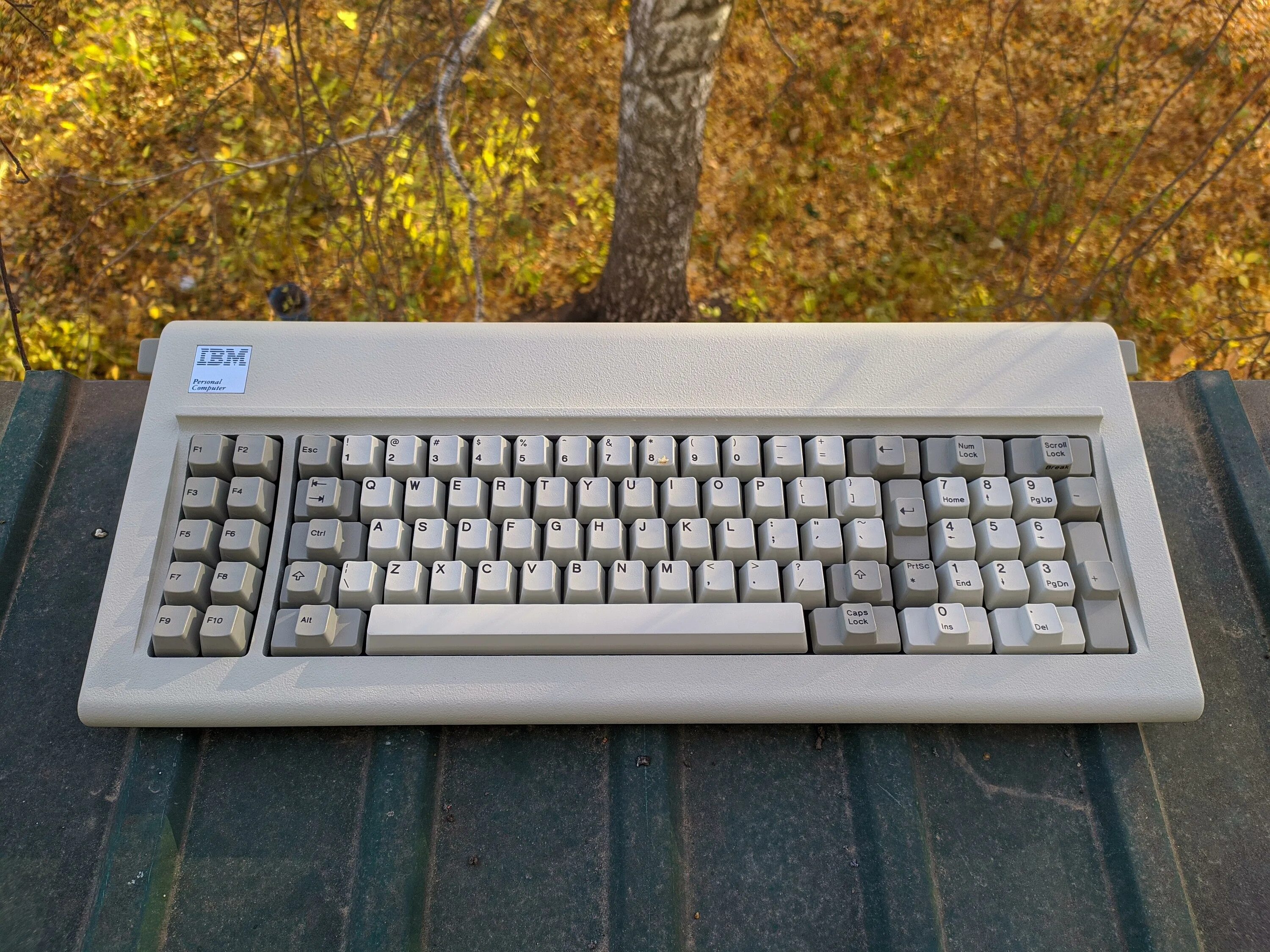 Клавиатура ibm. Клавиатура IBM XT. Клавиатура IBM model f. IBM model m 1986. IBM model f XT.