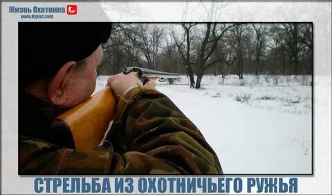 Меткие охотники