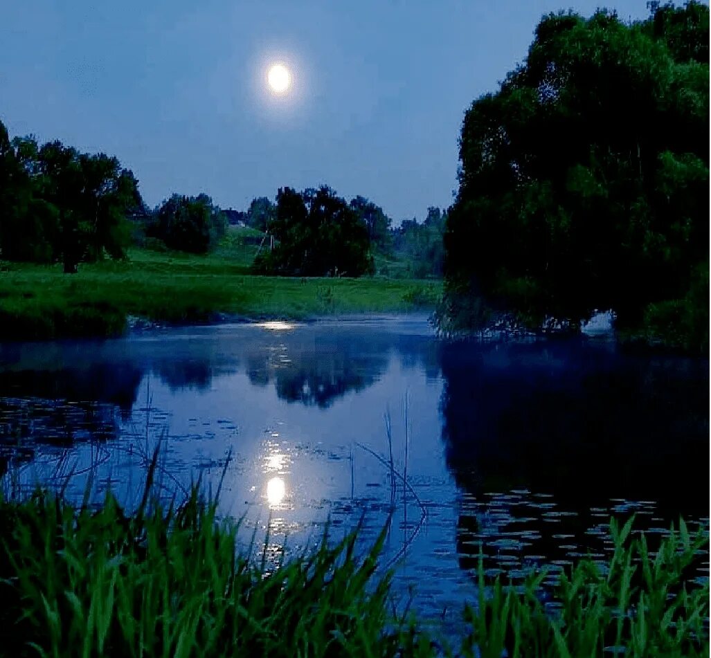 Ночная река слова. Река ночью. Луна река. Речка ночью. Ночь Луна река.
