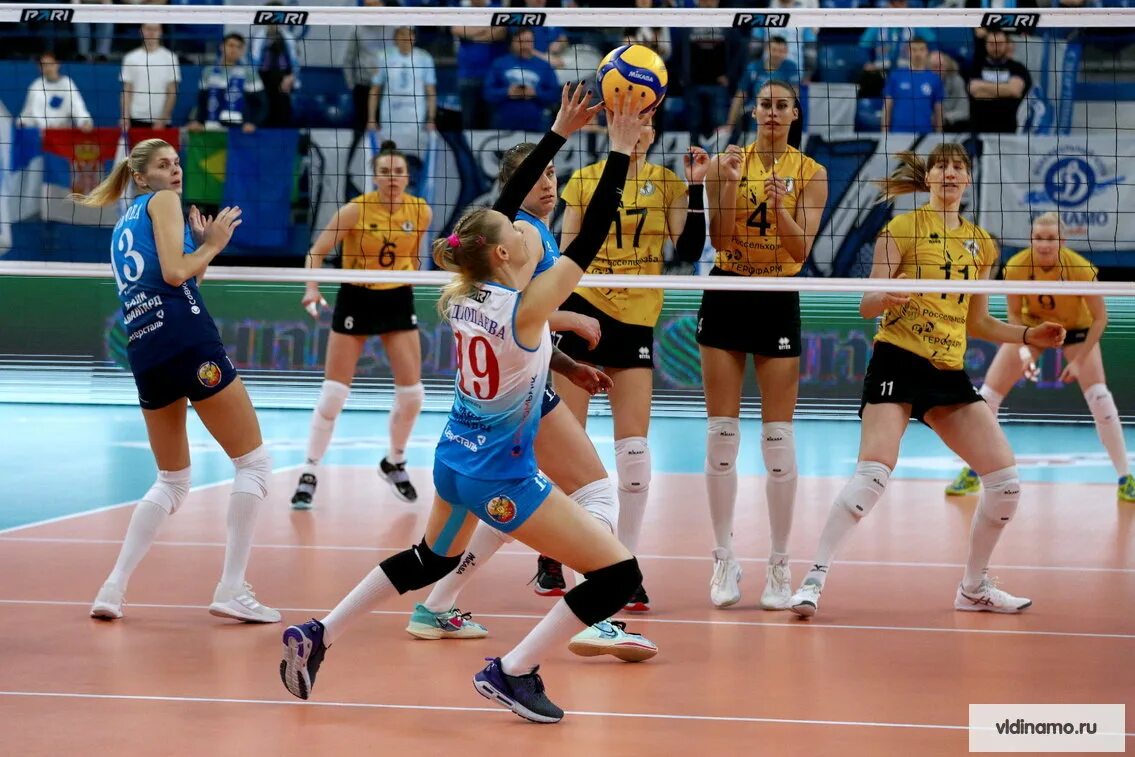 Российский чемпионат по волейболу. Команда динамо краснодар волейбол женщины. Волейбольная команда заречье одинцово. Женская волейбольная команда динамо. Волейбольный клуб динамо краснодар женщины.