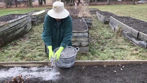 Золу можно вносить осенью под зиму
