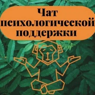 Чат с психологом