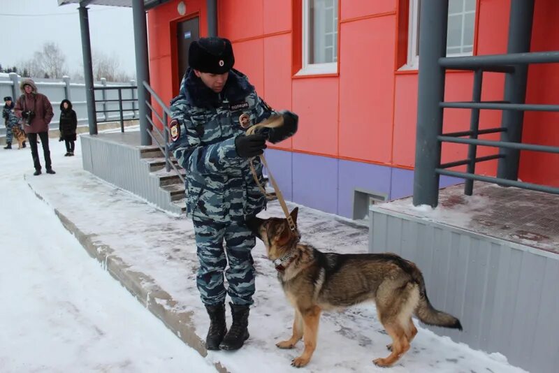 Кинолог в полиции зарплата. Кинологический центр фсин омск. цкс чебоксары кинологический центр. цкс сыктывкар мвд. цкс волгоград.