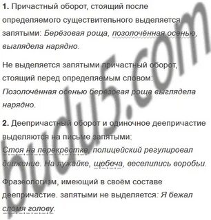 Русский язык 6 класс упражнение 558