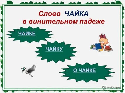 Слово чайка