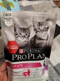 Корма для котят проплан отзывы