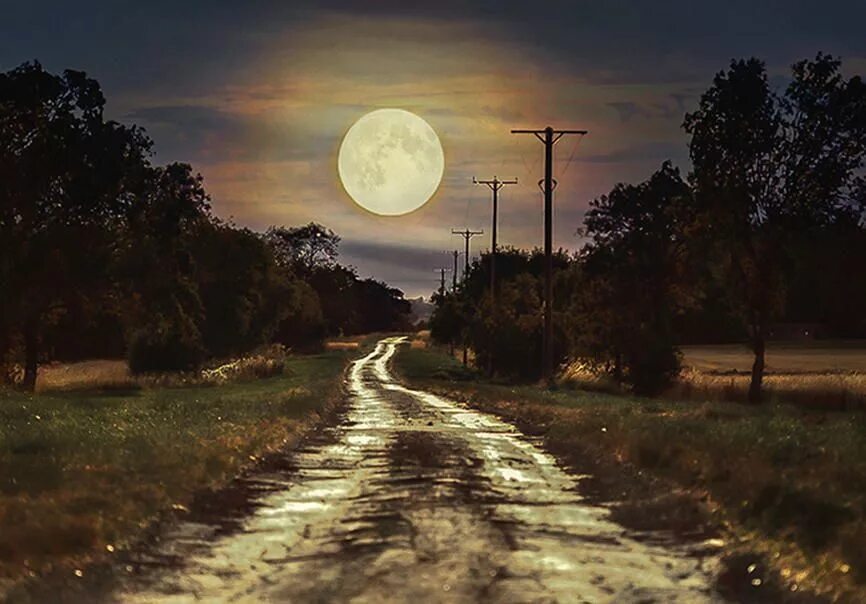 Дорога белела освещенная месяцем. Лунная дорога. Дорога к Луне. Лунный вечер. Ночная дорога Луна.