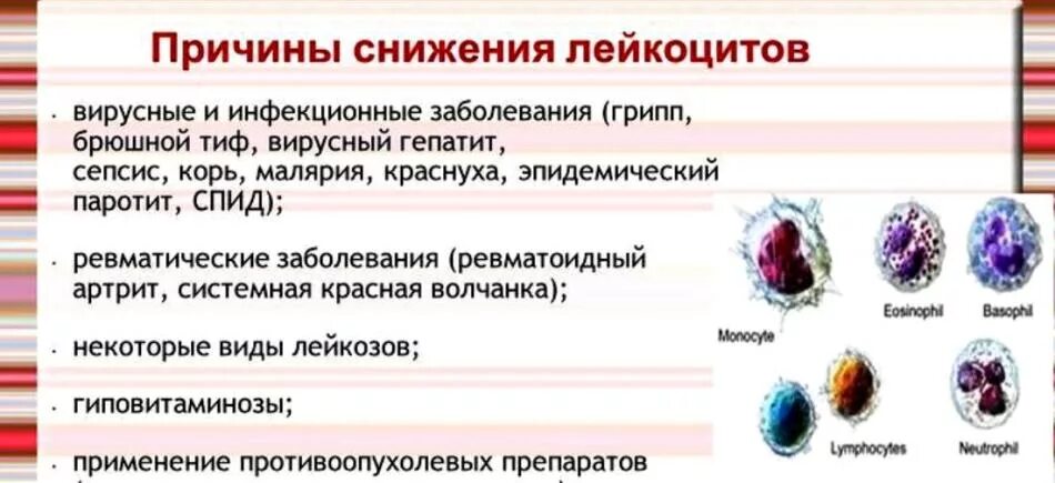 Причины низкого уровня лейкоцитов у женщины. Снижение уровня лейкоцитов. причины повышения лейкоцитов. причины понижение уровня лейкоцитов. снижены лейкоциты в крови у женщин причины.