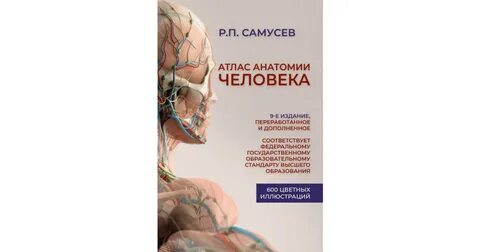 Атлас нормальной анатомии человека самусев липченко