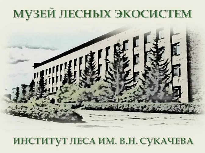 в. лесной форпост. институт леса имени сукачева красноярск. институт леса со ран. институт в лесу новосибирск.