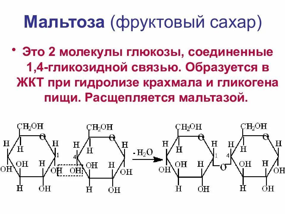 2 молекулы глюкозы