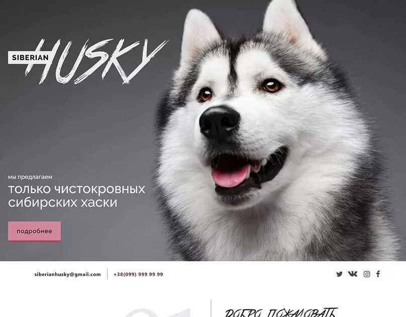 Как лают хаски. Аляскинский маламут. аляскинский маламут короткошерстный. сибирский хаски. лайка маламут.