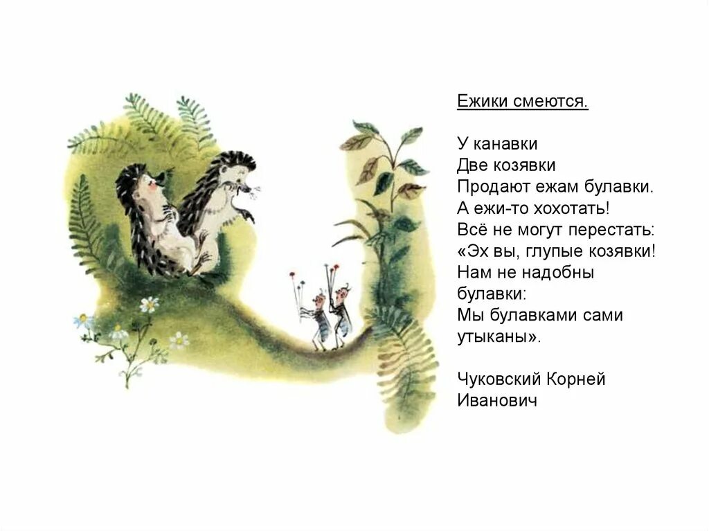 Ежик чуковский. Чуковский к.и. "ежики смеются". Стих ежики смеются Чуковский. Ёжики смеются Чуковский иллюстрации.